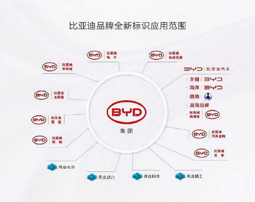 比亞迪變陣 品牌價值重塑與‘蔚小理’的戰略接招
